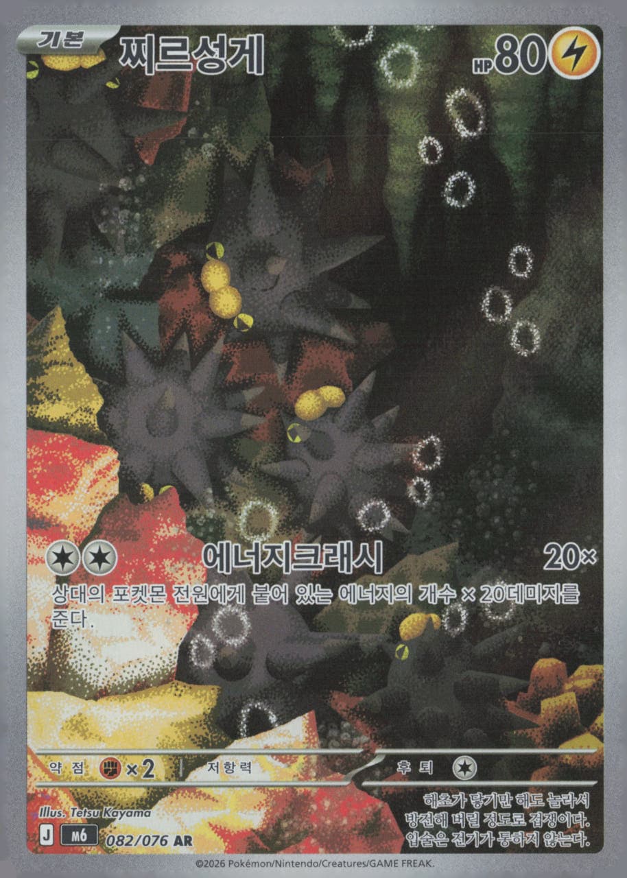찌르성게