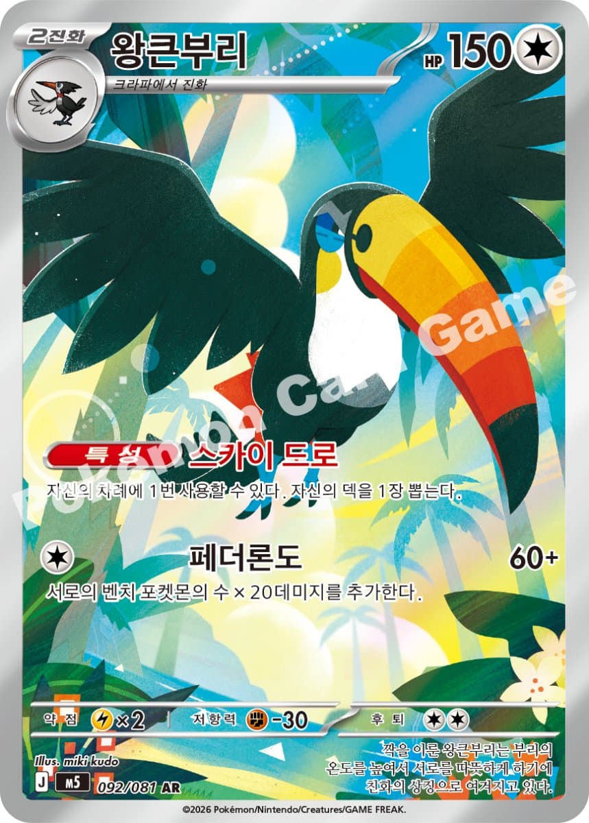 왕큰부리