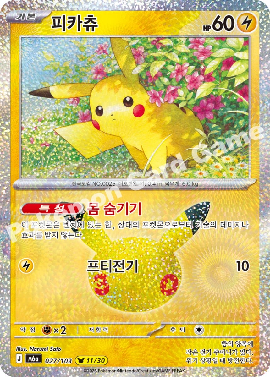 피카츄 (11번)