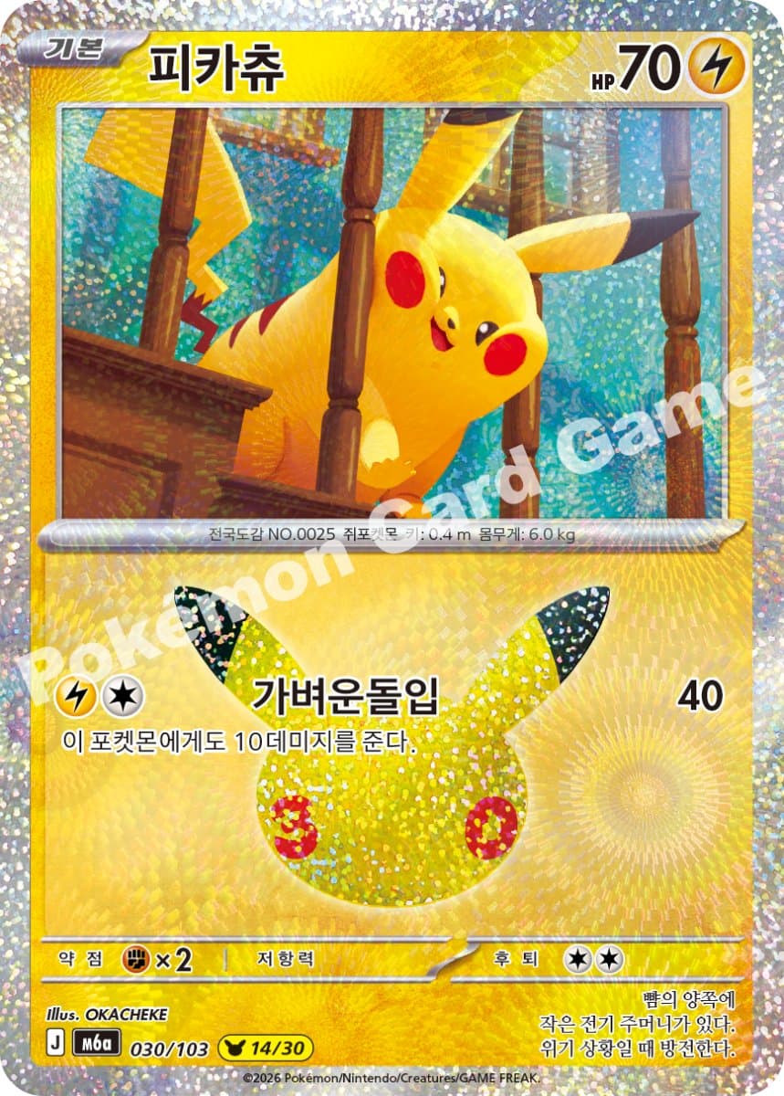 피카츄 (14번)