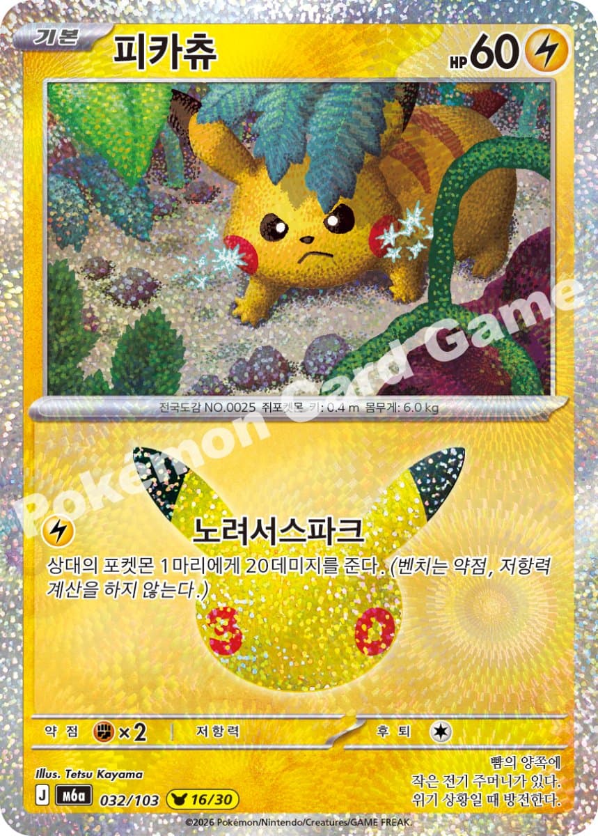 피카츄 (16번)