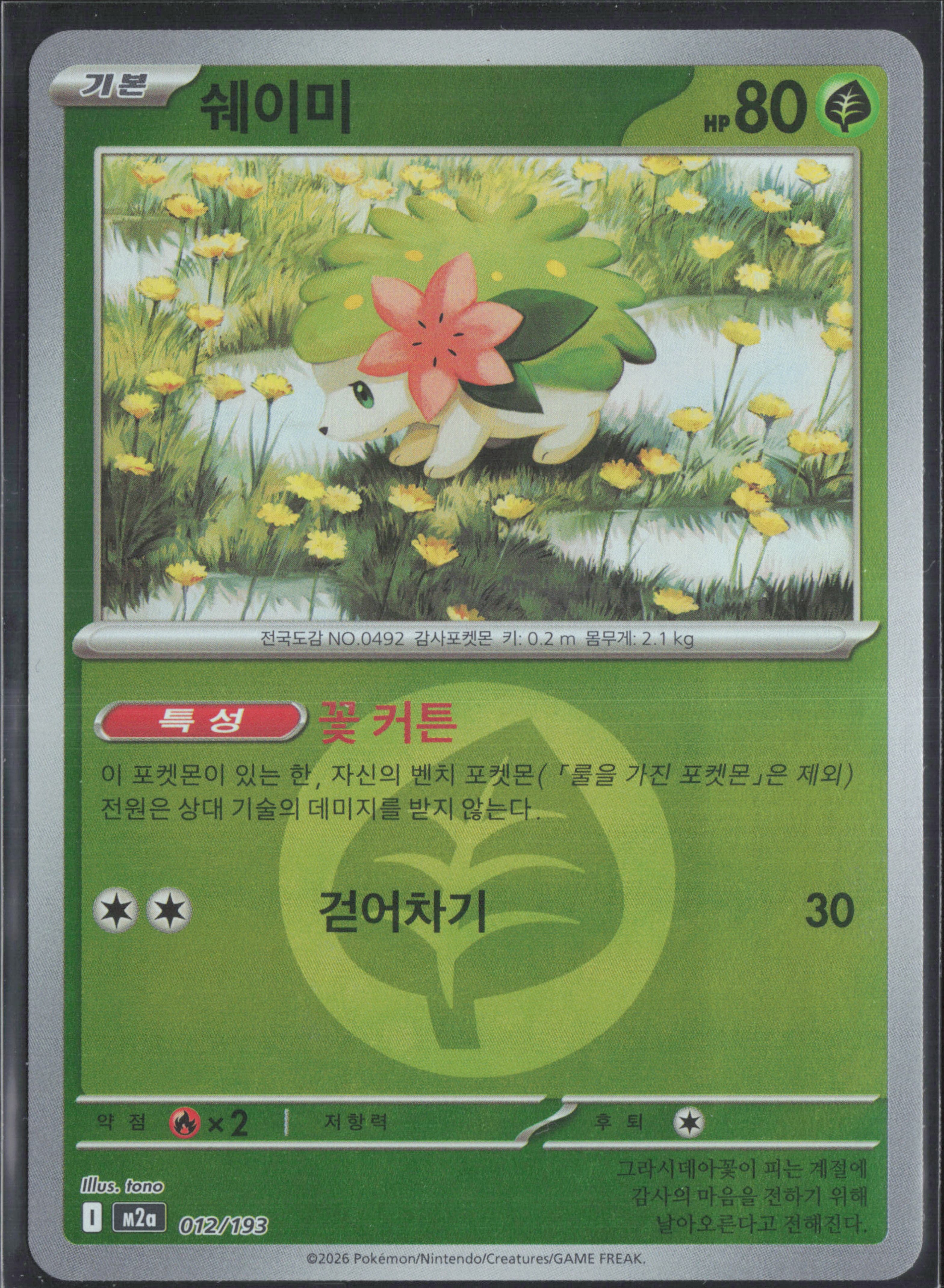 쉐이미