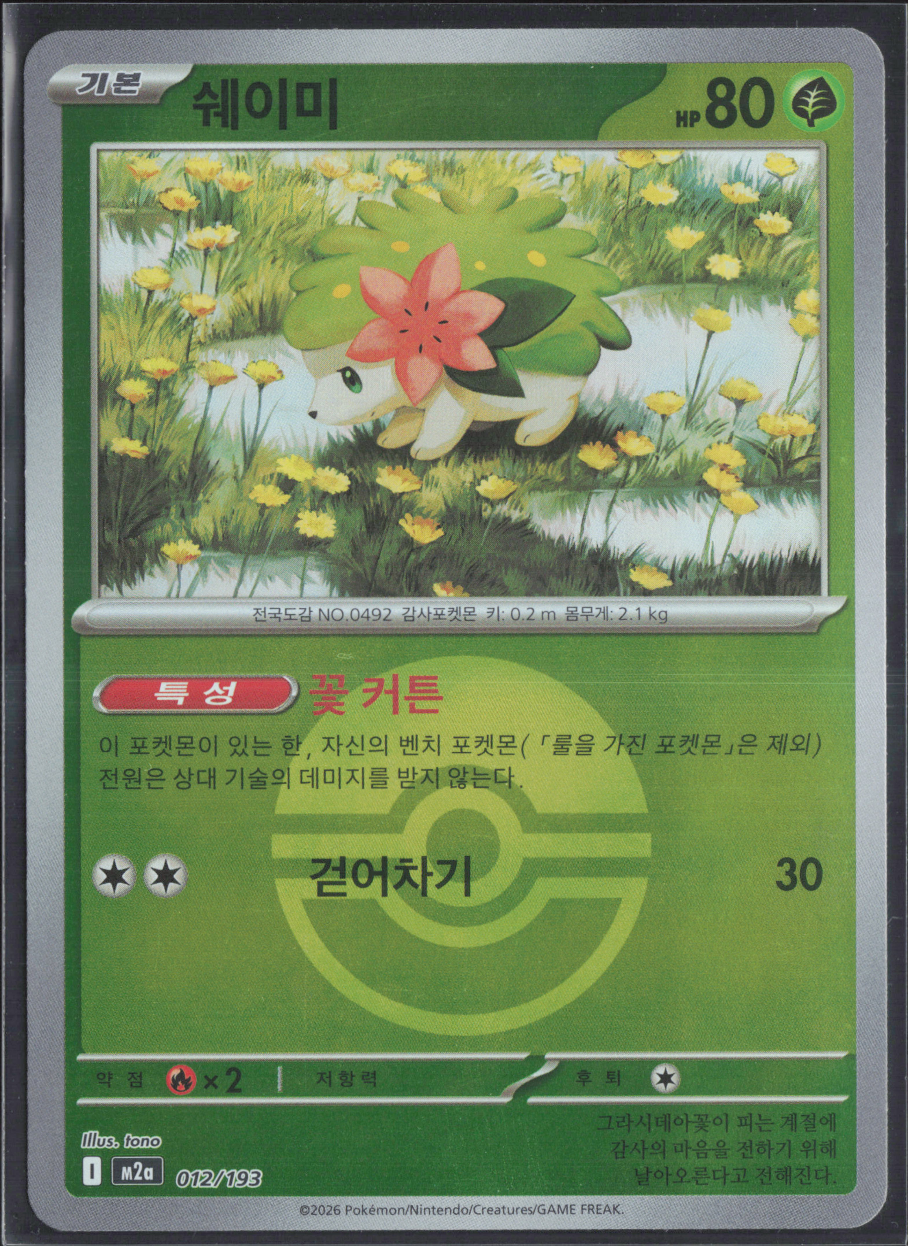 쉐이미